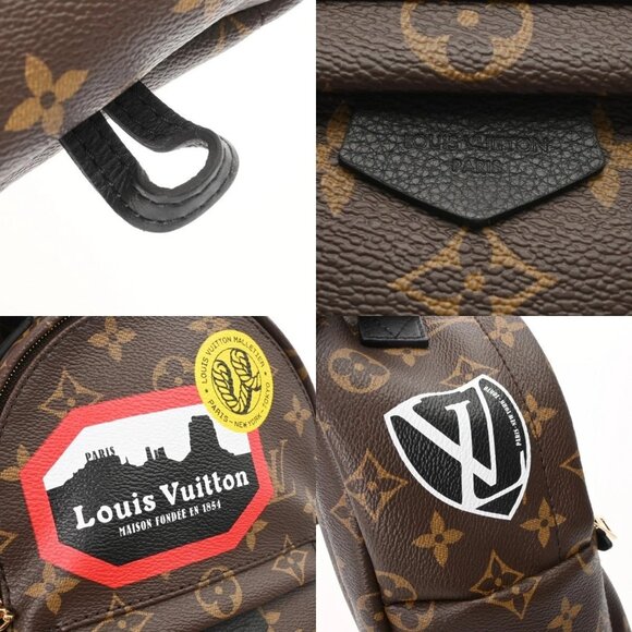 LOUIS VUITTON Monogram Palm Springs Backpack World Tour - Picture 11 of 12